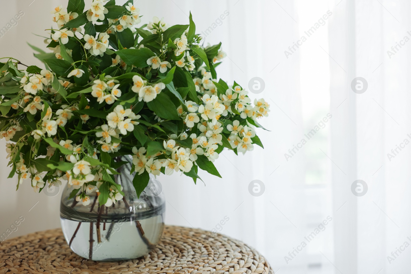 Beautiful jasmine flowers in vase on wicker table near window indoors, space for text Photo of Beautiful jasmine flowers in vase on wicker table near window indoors, space for text