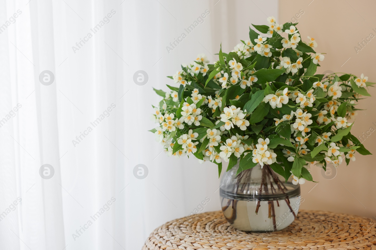 Beautiful jasmine flowers in vase on wicker table near window indoors, space for text Photo of Beautiful jasmine flowers in vase on wicker table near window indoors, space for text