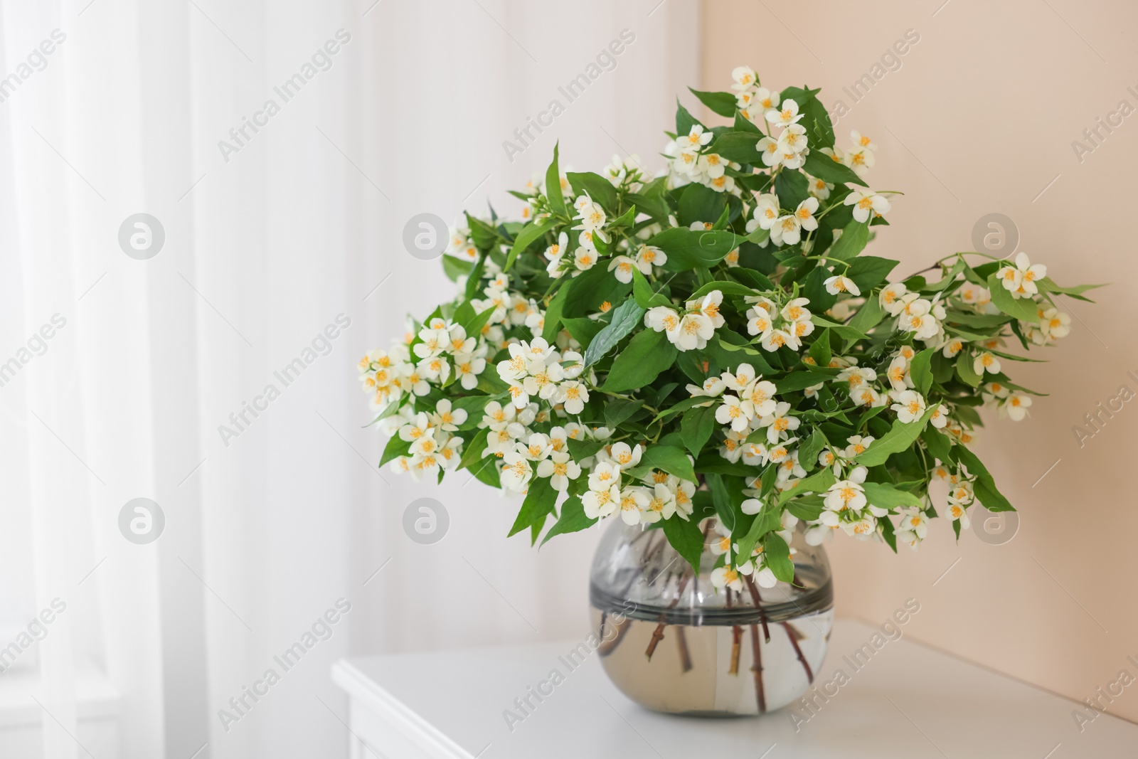 Beautiful jasmine flowers in vase on white table near beige wall indoors, space for text Photo of Beautiful jasmine flowers in vase on white table near beige wall indoors, space for text