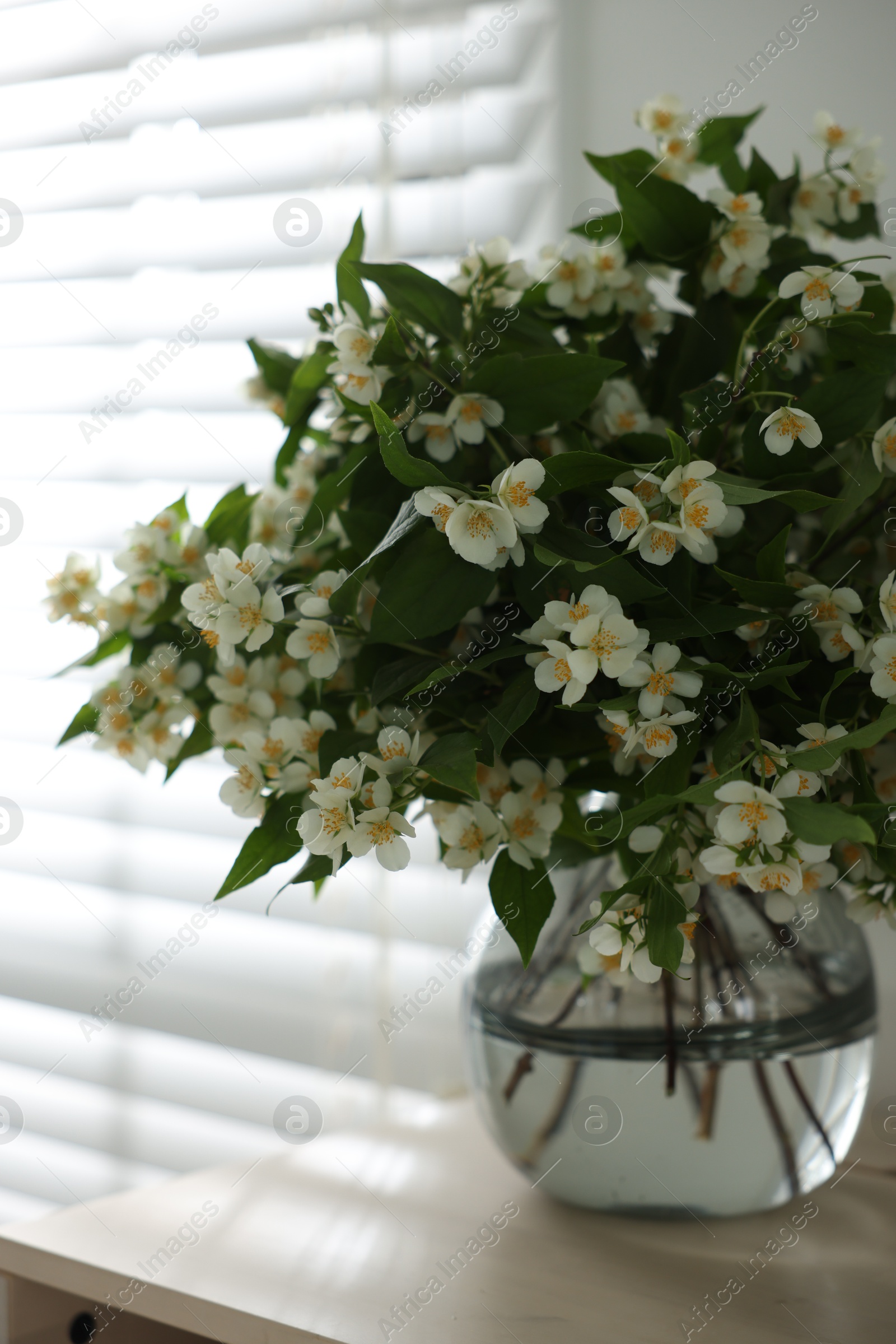 Beautiful jasmine flowers in vase on table near window indoors, closeup Photo of Beautiful jasmine flowers in vase on table near window indoors, closeup