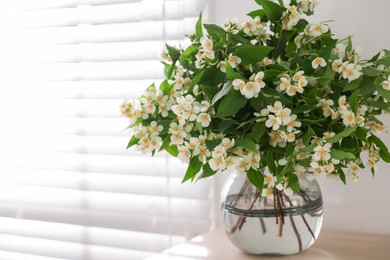 Photo of Beautiful jasmine flowers in vase on table near window indoors, closeup. Space for text