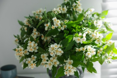 Photo of Beautiful jasmine flowers at home, closeup view