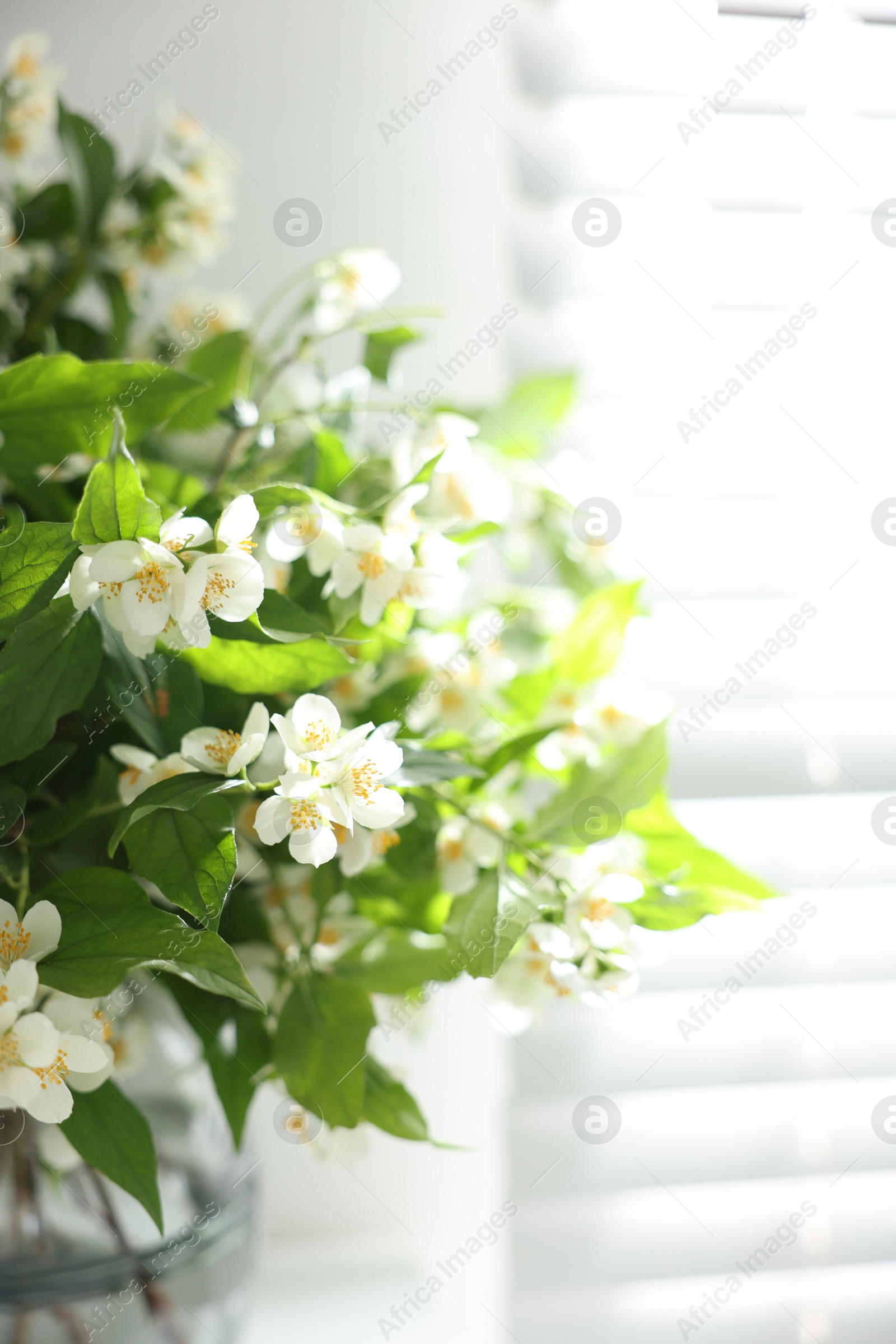 Beautiful jasmine flowers in vase near window, closeup Photo of Beautiful jasmine flowers in vase near window, closeup