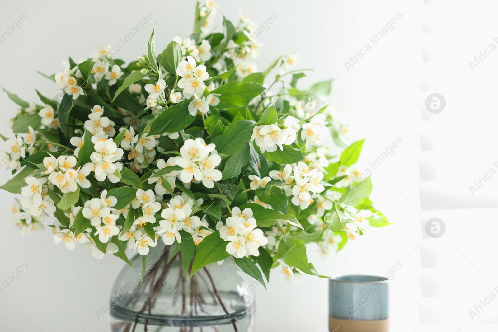 Beautiful jasmine flowers in vase and decor indoors, closeup Photo of Beautiful jasmine flowers in vase and decor indoors, closeup