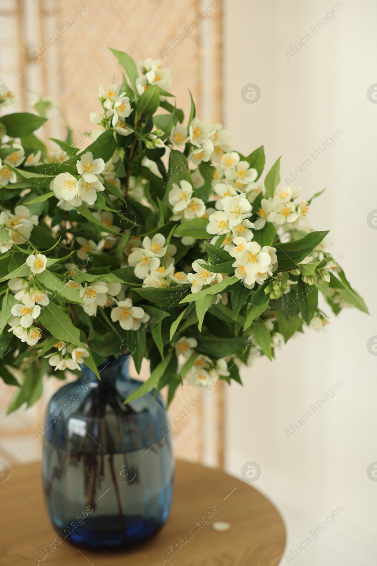 Beautiful jasmine flowers in vase on wooden table indoors, closeup Photo of Beautiful jasmine flowers in vase on wooden table indoors, closeup