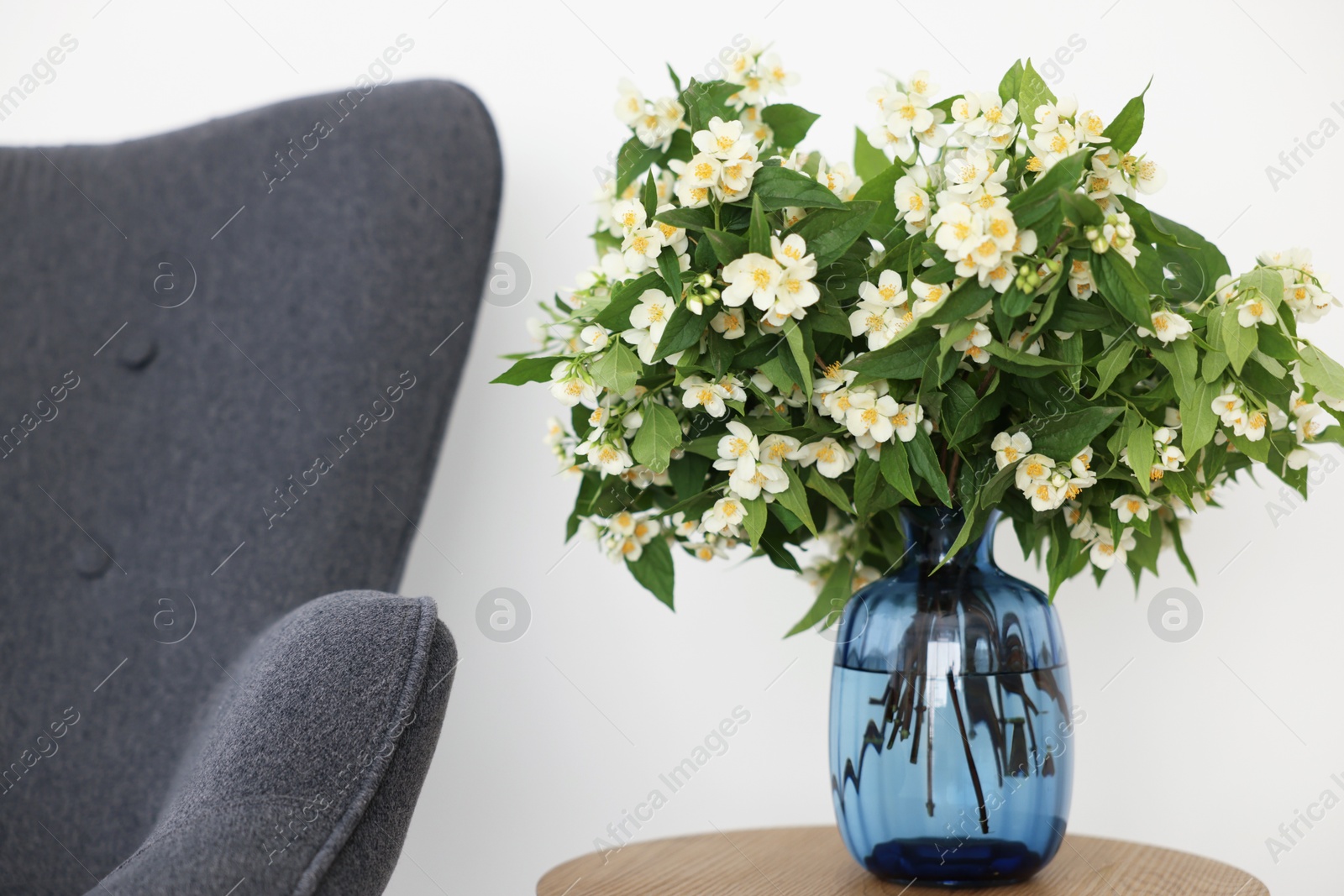 Beautiful jasmine flowers in vase on wooden table near armchair indoors Photo of Beautiful jasmine flowers in vase on wooden table near armchair indoors