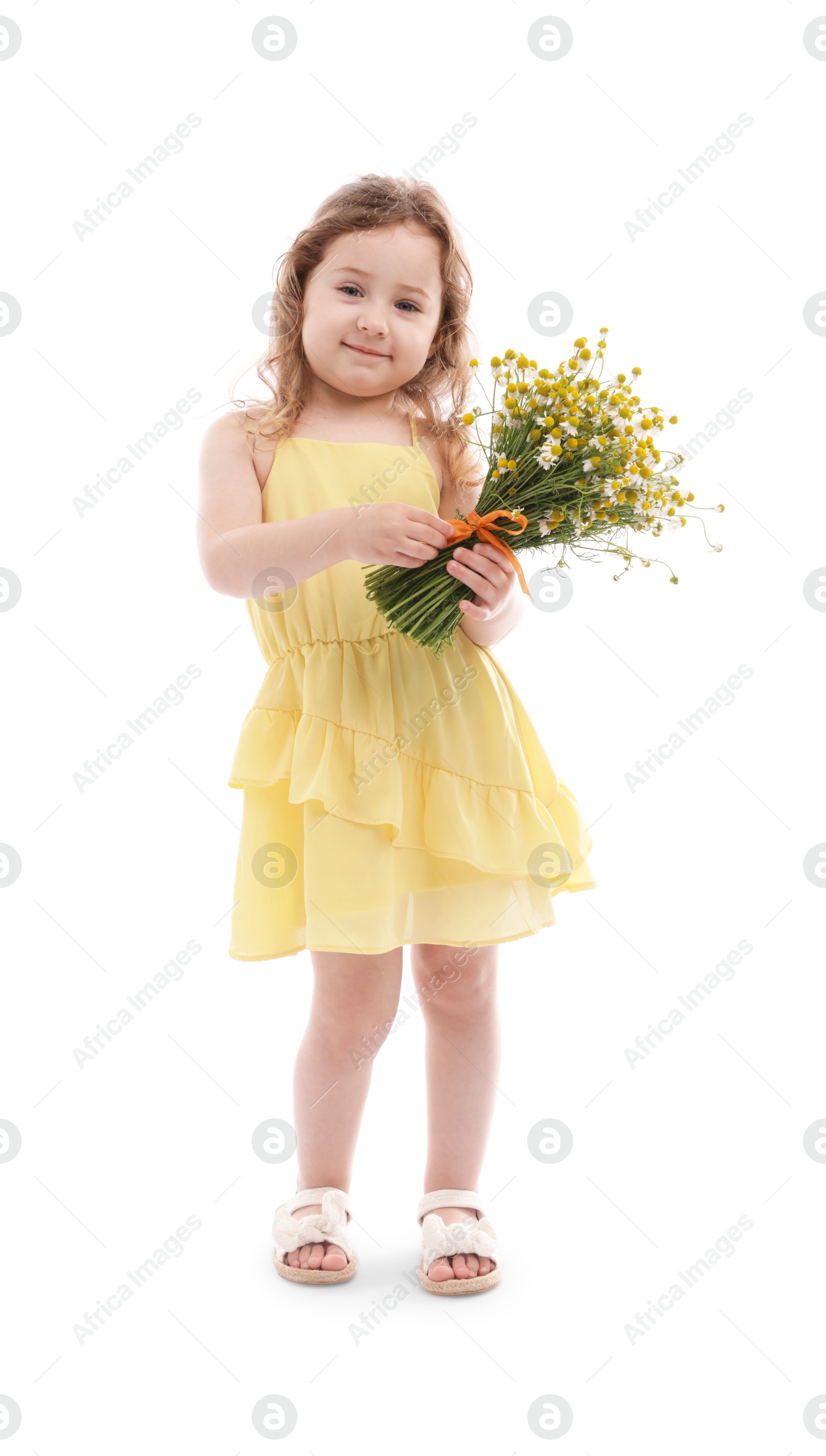 Cute little girl with bouquet of beautiful chamomile flowers on white background Photo of Cute little girl with bouquet of beautiful chamomile flowers on white background