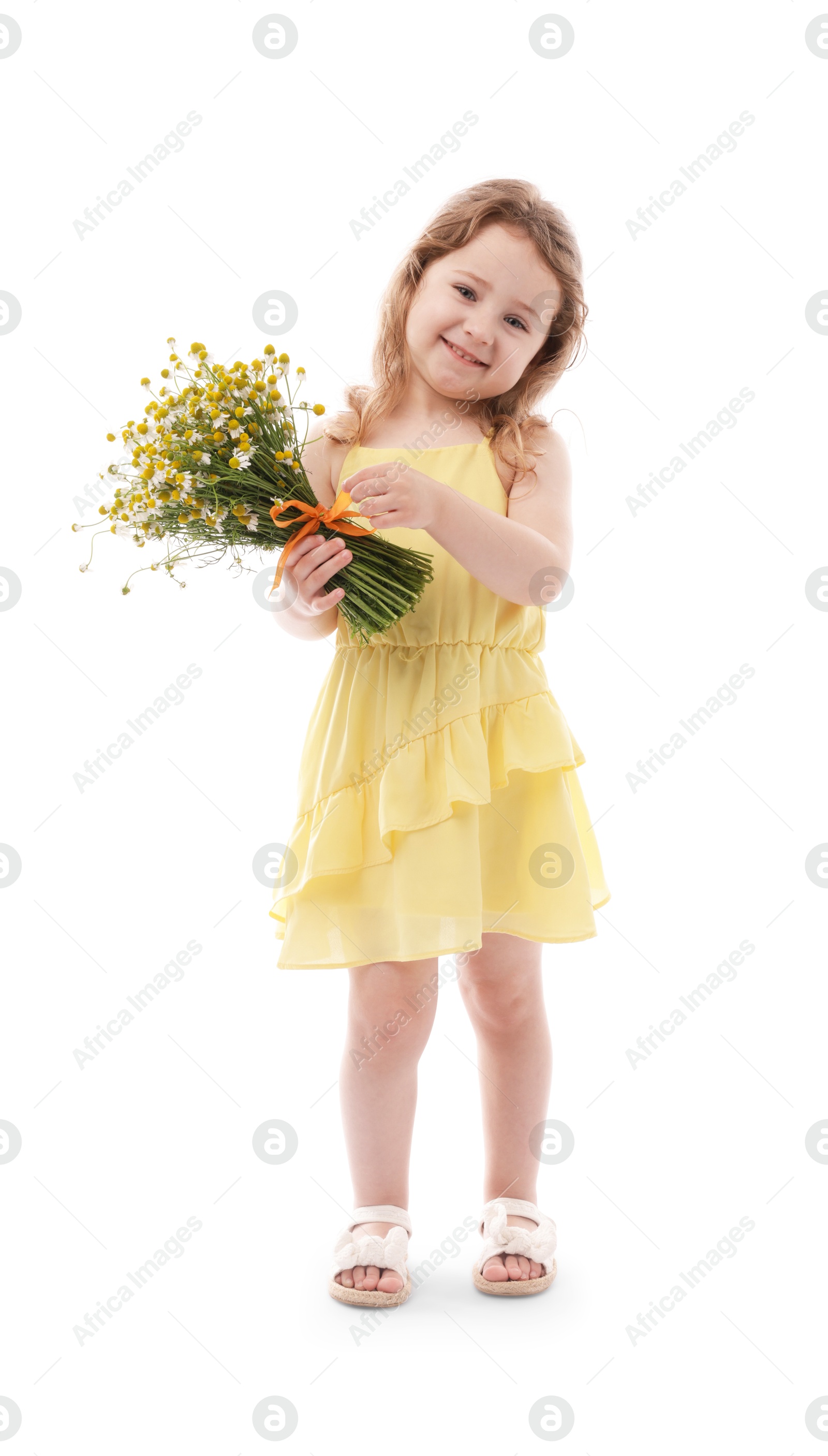Cute little girl with bouquet of beautiful chamomile flowers on white background Photo of Cute little girl with bouquet of beautiful chamomile flowers on white background