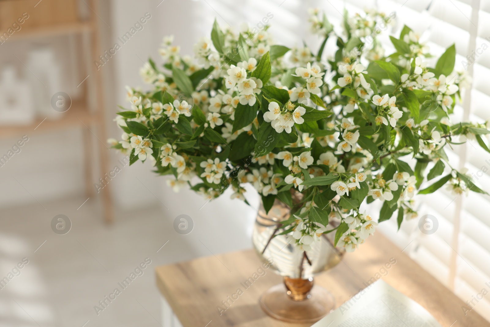 Bouquet of beautiful jasmine flowers in vase on wooden table indoors Photo of Bouquet of beautiful jasmine flowers in vase on wooden table indoors