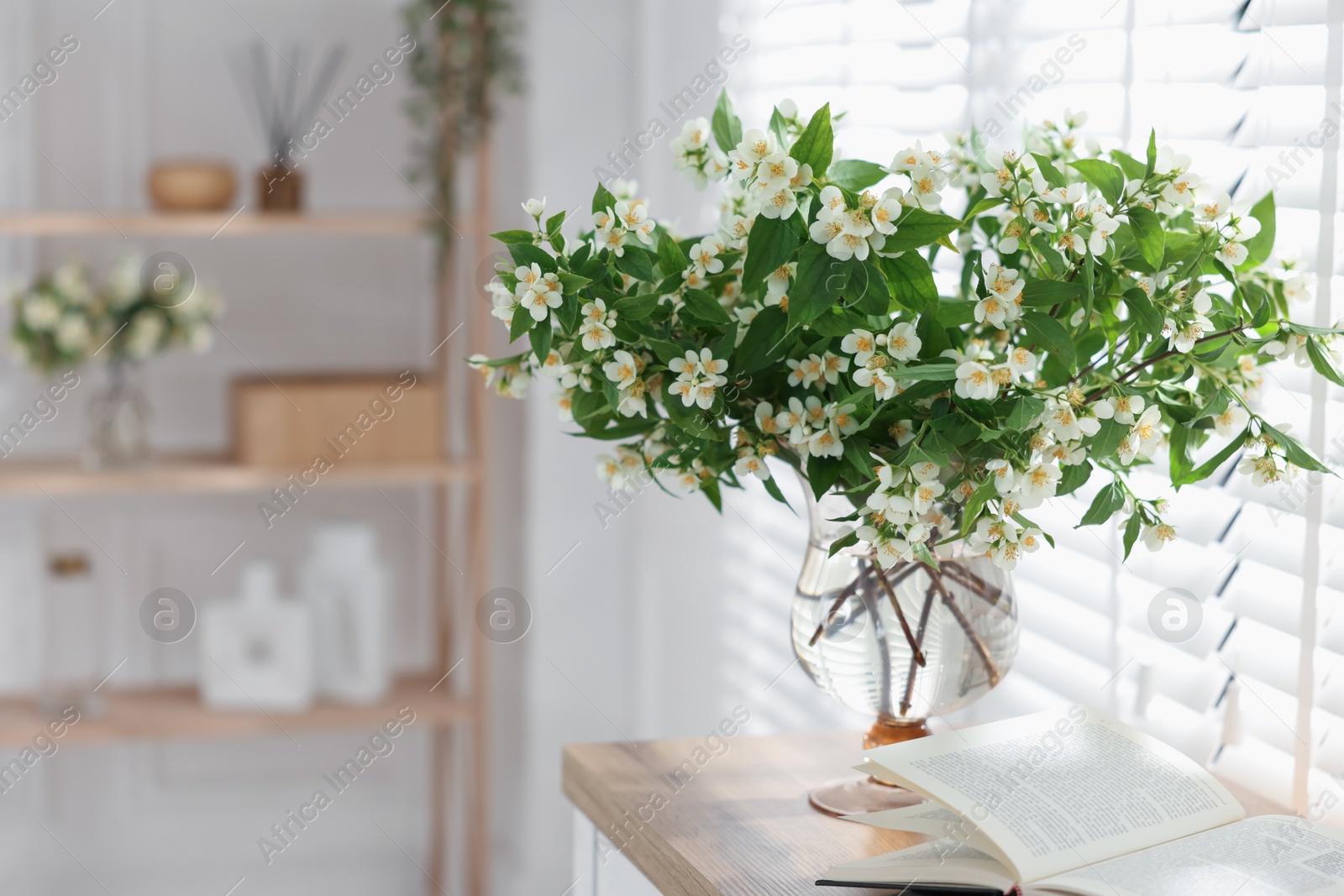 Bouquet of beautiful jasmine flowers in vase on wooden table indoors. Space for text Photo of Bouquet of beautiful jasmine flowers in vase on wooden table indoors. Space for text