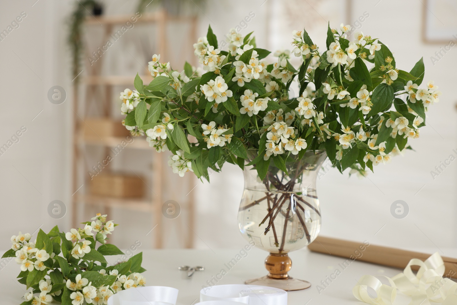 Bouquet of beautiful jasmine flowers in vase on white table indoors Photo of Bouquet of beautiful jasmine flowers in vase on white table indoors