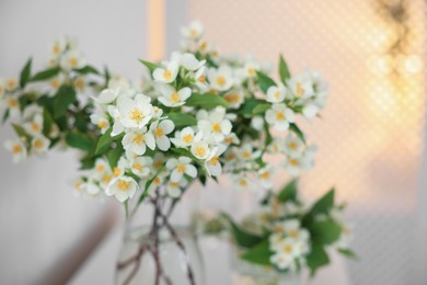 Photo of Bouquet of beautiful jasmine flowers in vase on white table indoors, closeup
