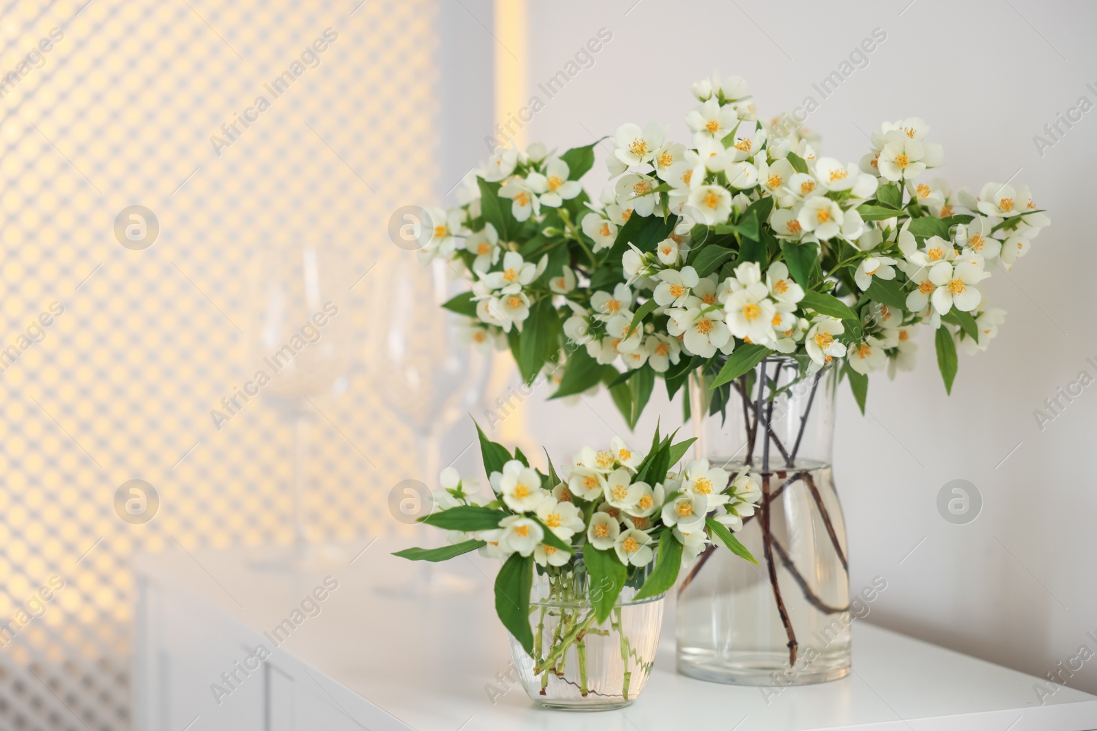 Bouquet of beautiful jasmine flowers in vase on white table indoors Photo of Bouquet of beautiful jasmine flowers in vase on white table indoors