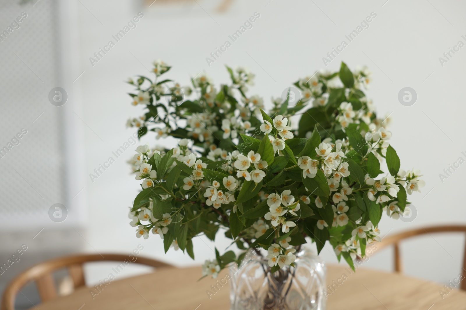 Bouquet of beautiful jasmine flowers in vase on wooden table indoors, closeup Photo of Bouquet of beautiful jasmine flowers in vase on wooden table indoors, closeup