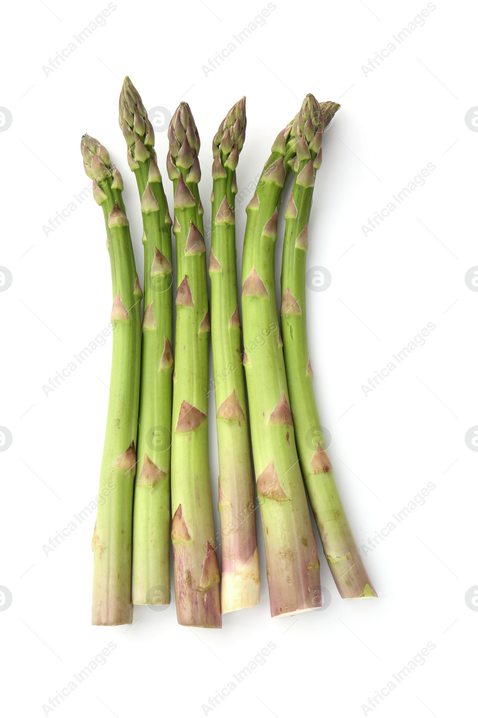 Fresh raw asparagus spears isolated on white, top view Photo of Fresh raw asparagus spears isolated on white, top view