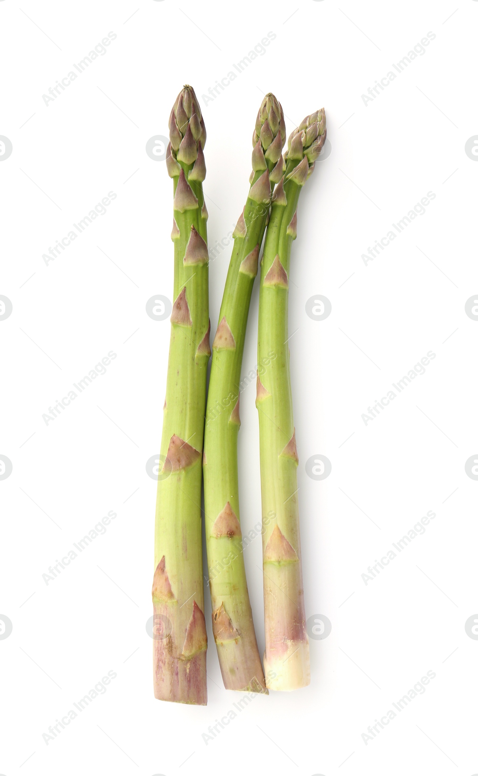 Fresh raw asparagus spears isolated on white, top view Photo of Fresh raw asparagus spears isolated on white, top view