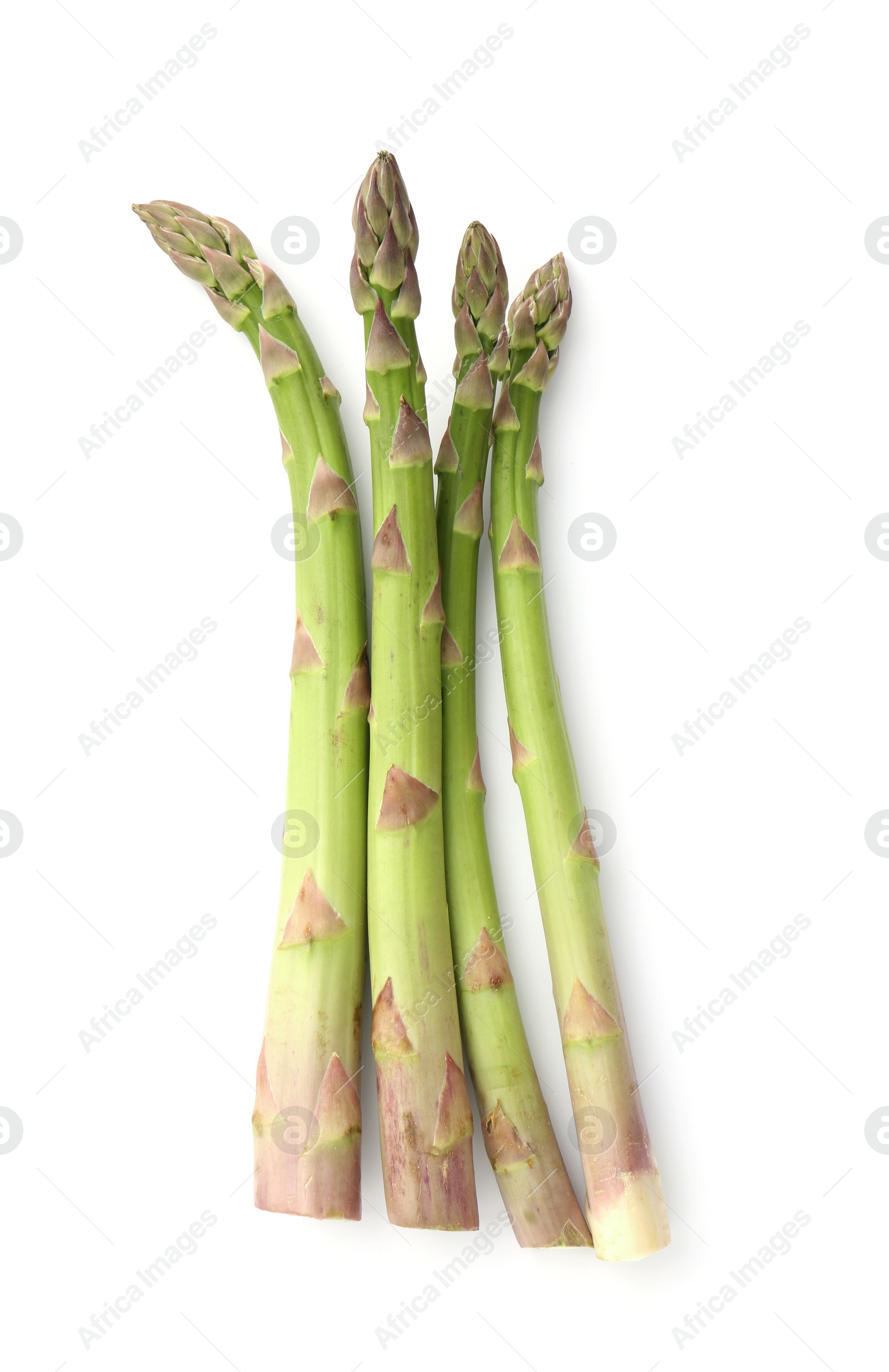 Fresh raw asparagus spears isolated on white, top view Photo of Fresh raw asparagus spears isolated on white, top view