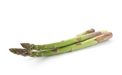 Photo of Fresh raw asparagus spears isolated on white