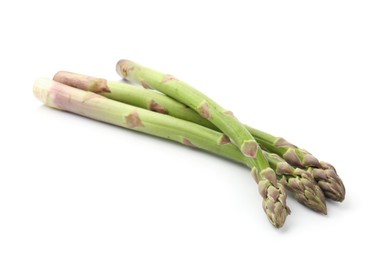 Photo of Fresh raw asparagus spears isolated on white