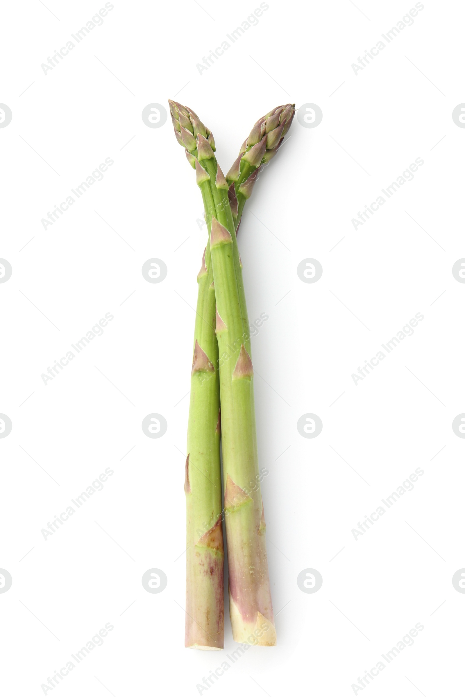 Fresh raw asparagus spears isolated on white, top view Photo of Fresh raw asparagus spears isolated on white, top view