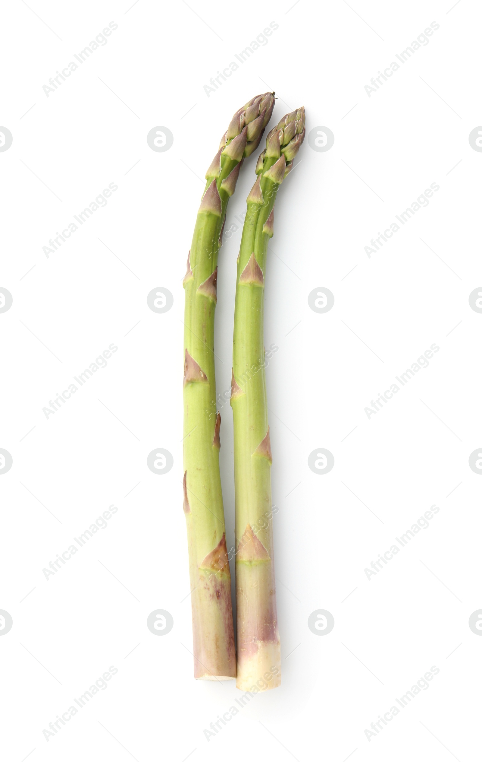 Fresh raw asparagus spears isolated on white, top view Photo of Fresh raw asparagus spears isolated on white, top view