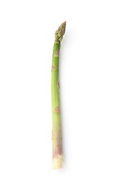 Photo of One fresh raw asparagus spear isolated on white, top view