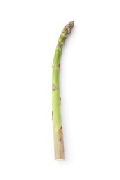 Photo of One fresh raw asparagus spear isolated on white, top view