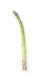 Photo of One fresh raw asparagus spear isolated on white, top view