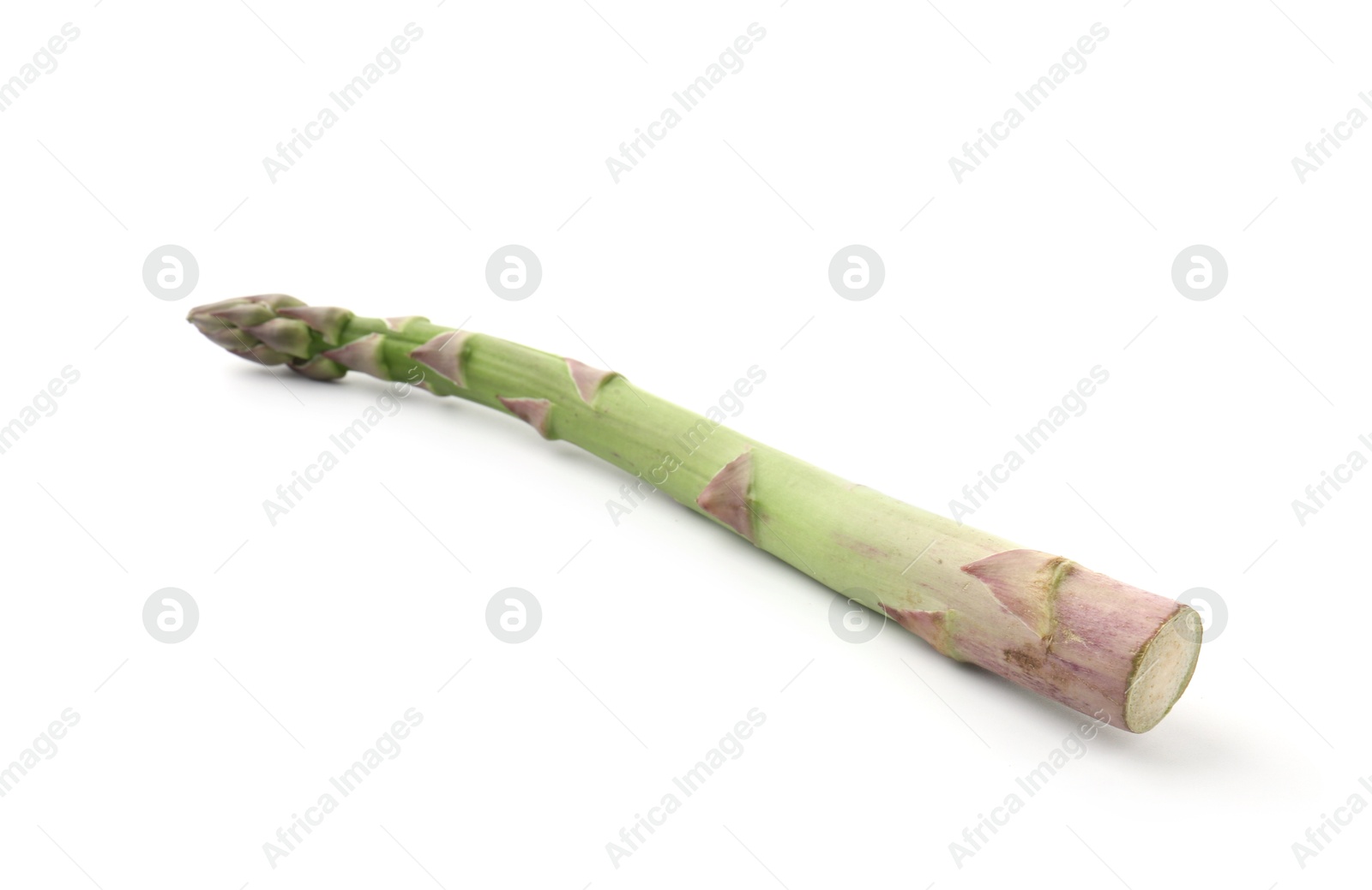 One fresh raw asparagus spear isolated on white Photo of One fresh raw asparagus spear isolated on white