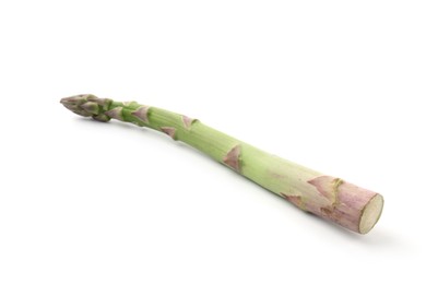 Photo of One fresh raw asparagus spear isolated on white