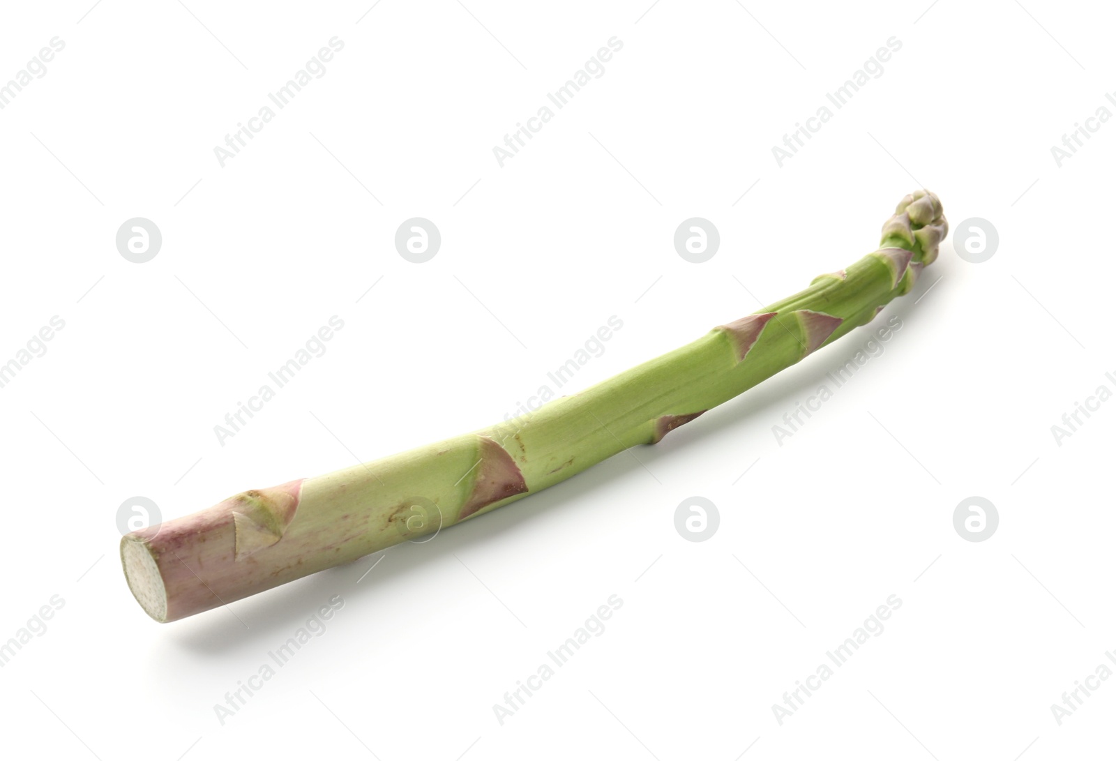 One fresh raw asparagus spear isolated on white Photo of One fresh raw asparagus spear isolated on white
