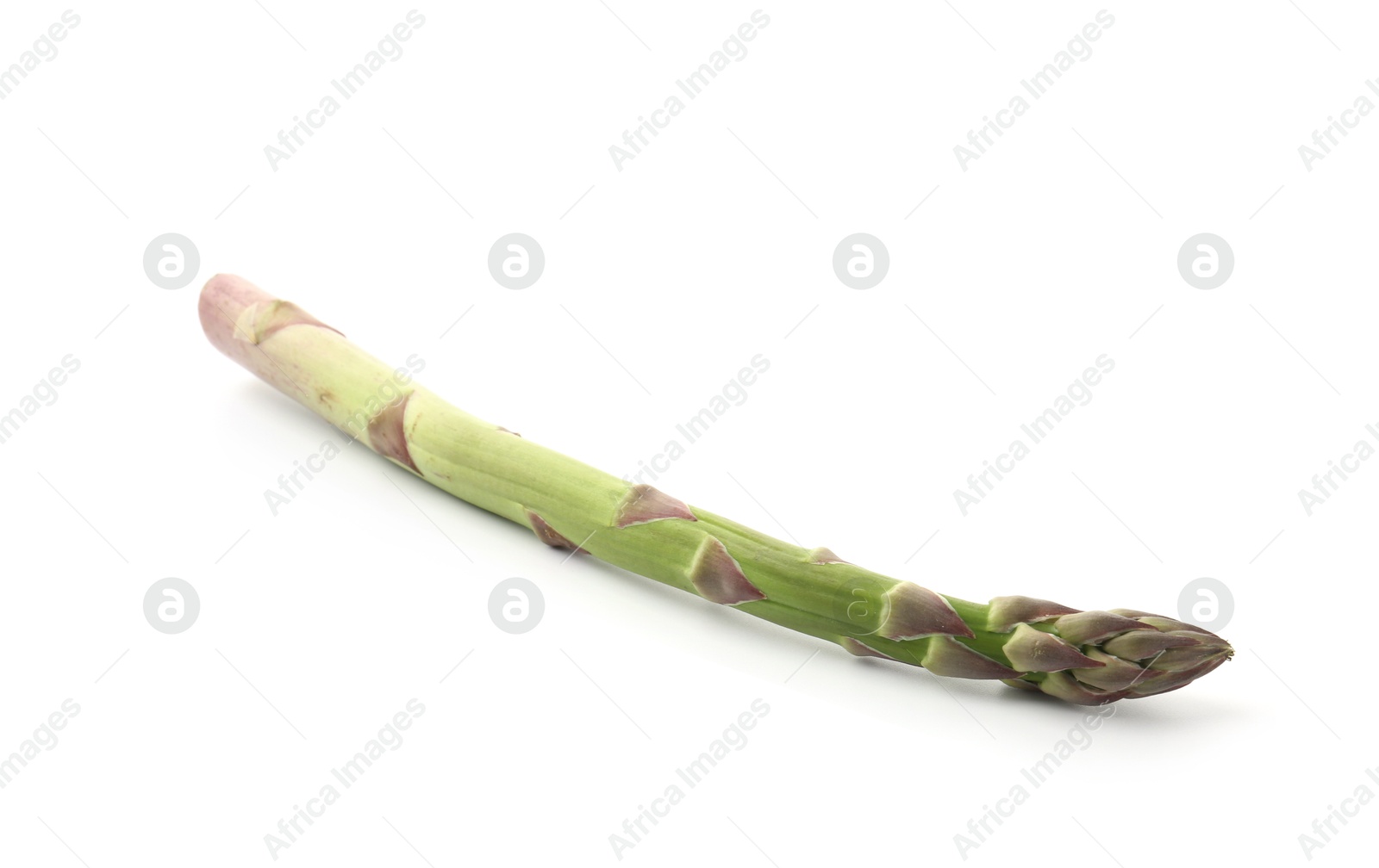 One fresh raw asparagus spear isolated on white Photo of One fresh raw asparagus spear isolated on white