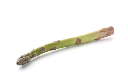 Photo of One fresh raw asparagus spear isolated on white