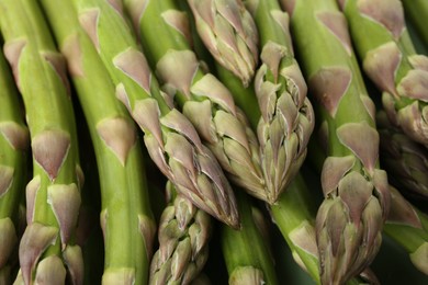 Photo of Many fresh raw asparagus spears as background, closeup