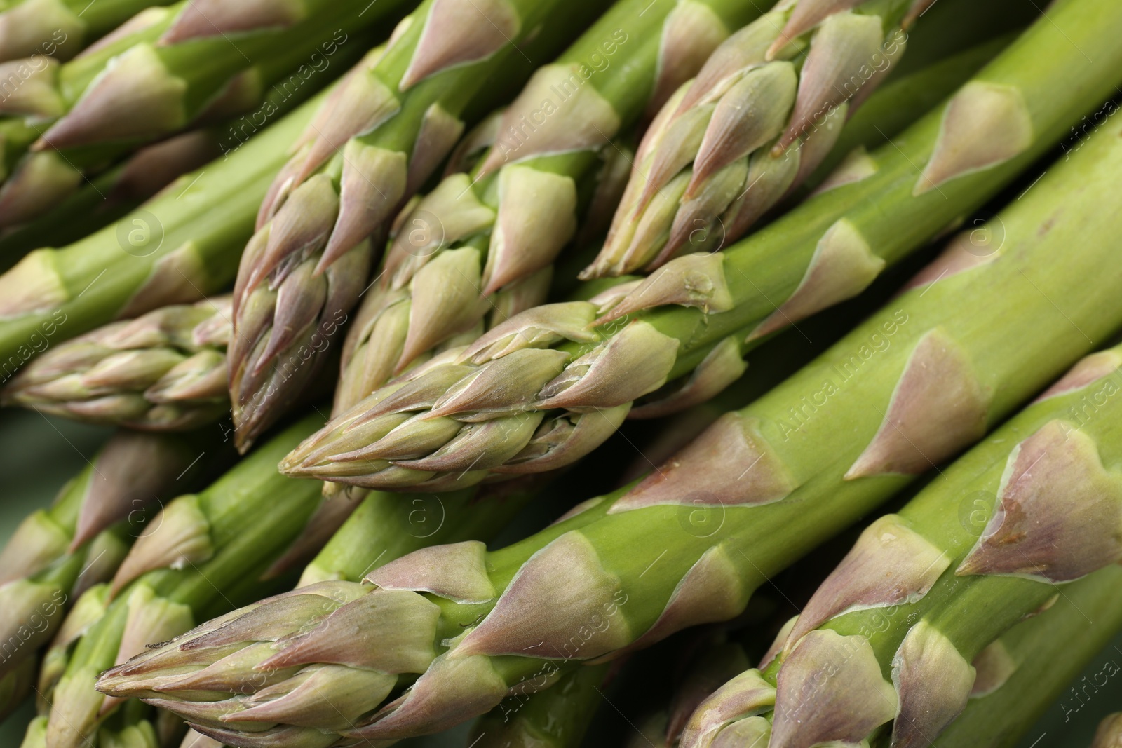 Many fresh raw asparagus spears as background, closeup Photo of Many fresh raw asparagus spears as background, closeup