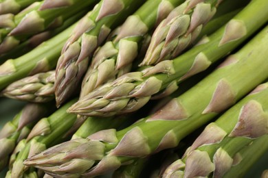 Photo of Many fresh raw asparagus spears as background, closeup