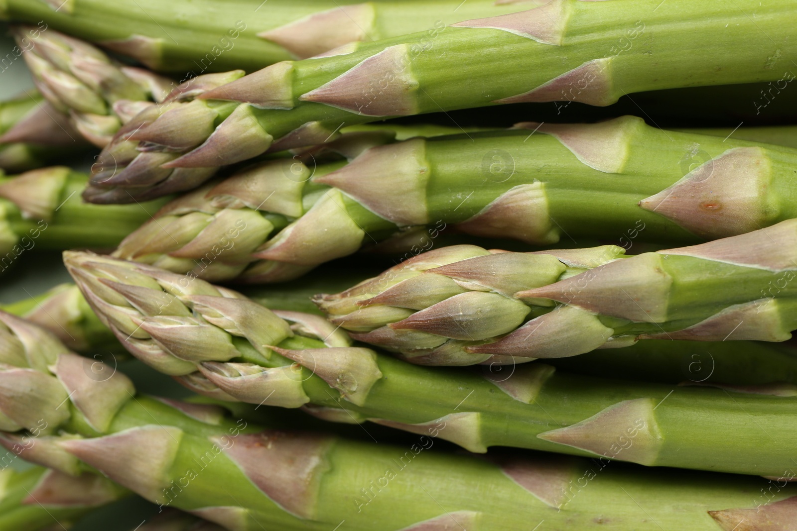 Many fresh raw asparagus spears as background, top view Photo of Many fresh raw asparagus spears as background, top view