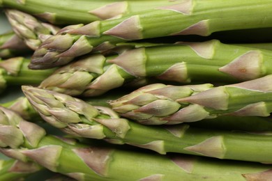 Photo of Many fresh raw asparagus spears as background, top view