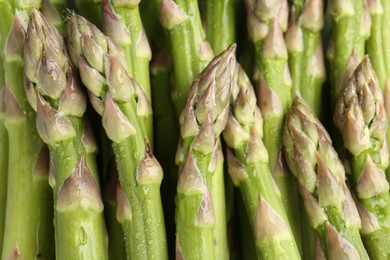 Photo of Many fresh wet asparagus spears as background, top view