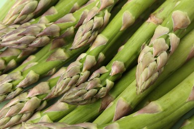 Photo of Many fresh raw asparagus spears as background, top view