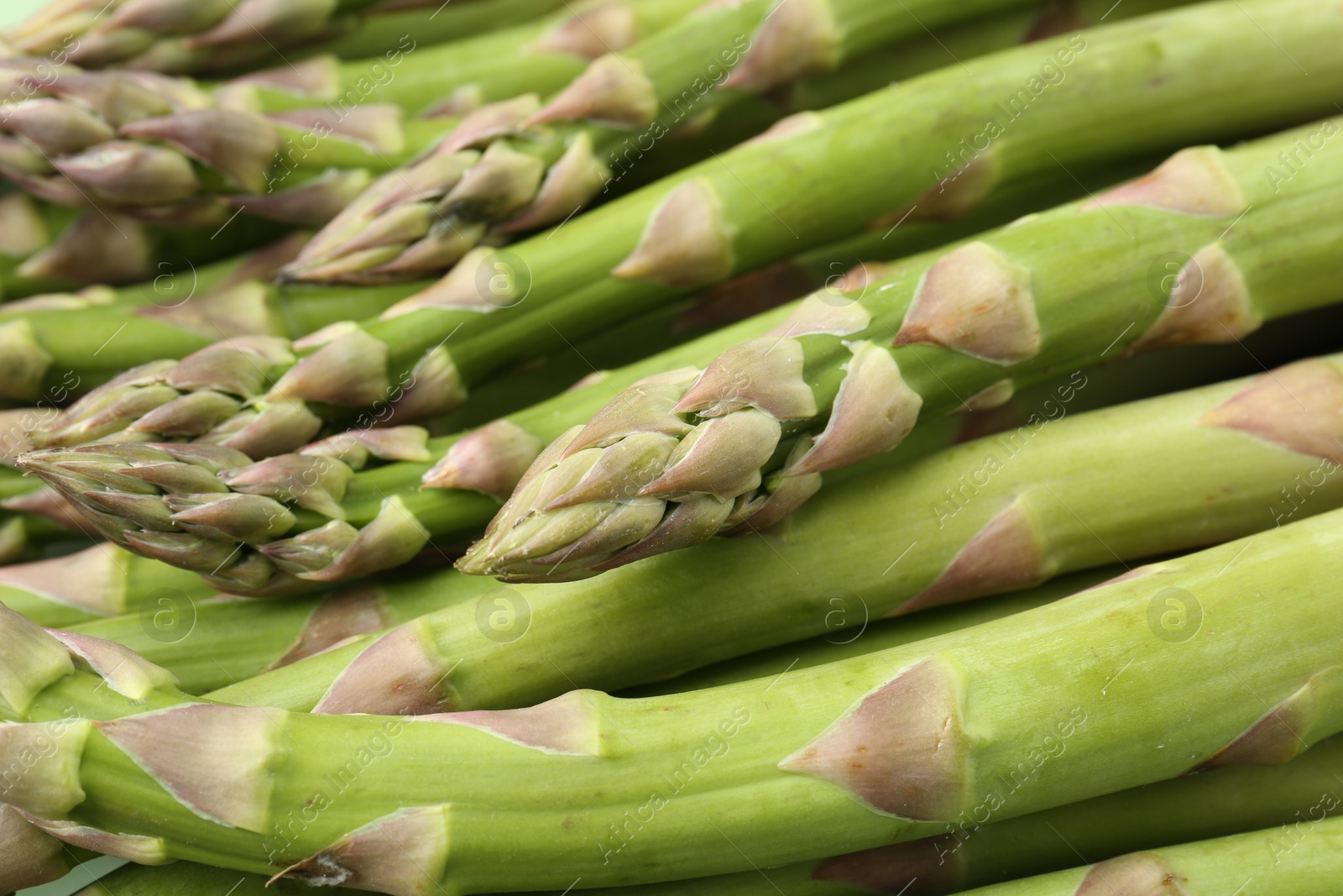 Many fresh raw asparagus spears as background, closeup Photo of Many fresh raw asparagus spears as background, closeup