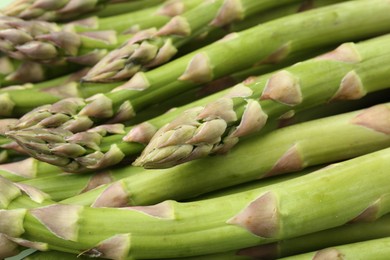 Photo of Many fresh raw asparagus spears as background, closeup
