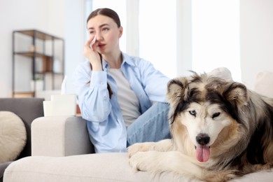 Photo of Woman suffering from allergy with her dog at home, selective focus