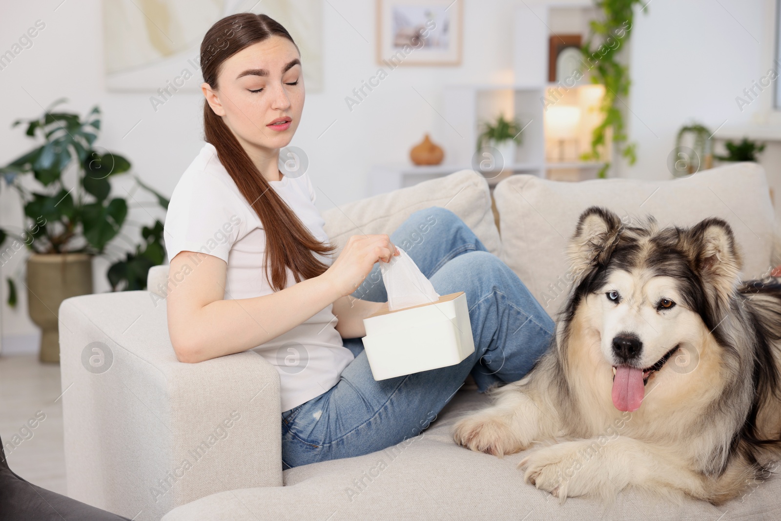 Woman suffering from allergy with her dog at home Photo of Woman suffering from allergy with her dog at home