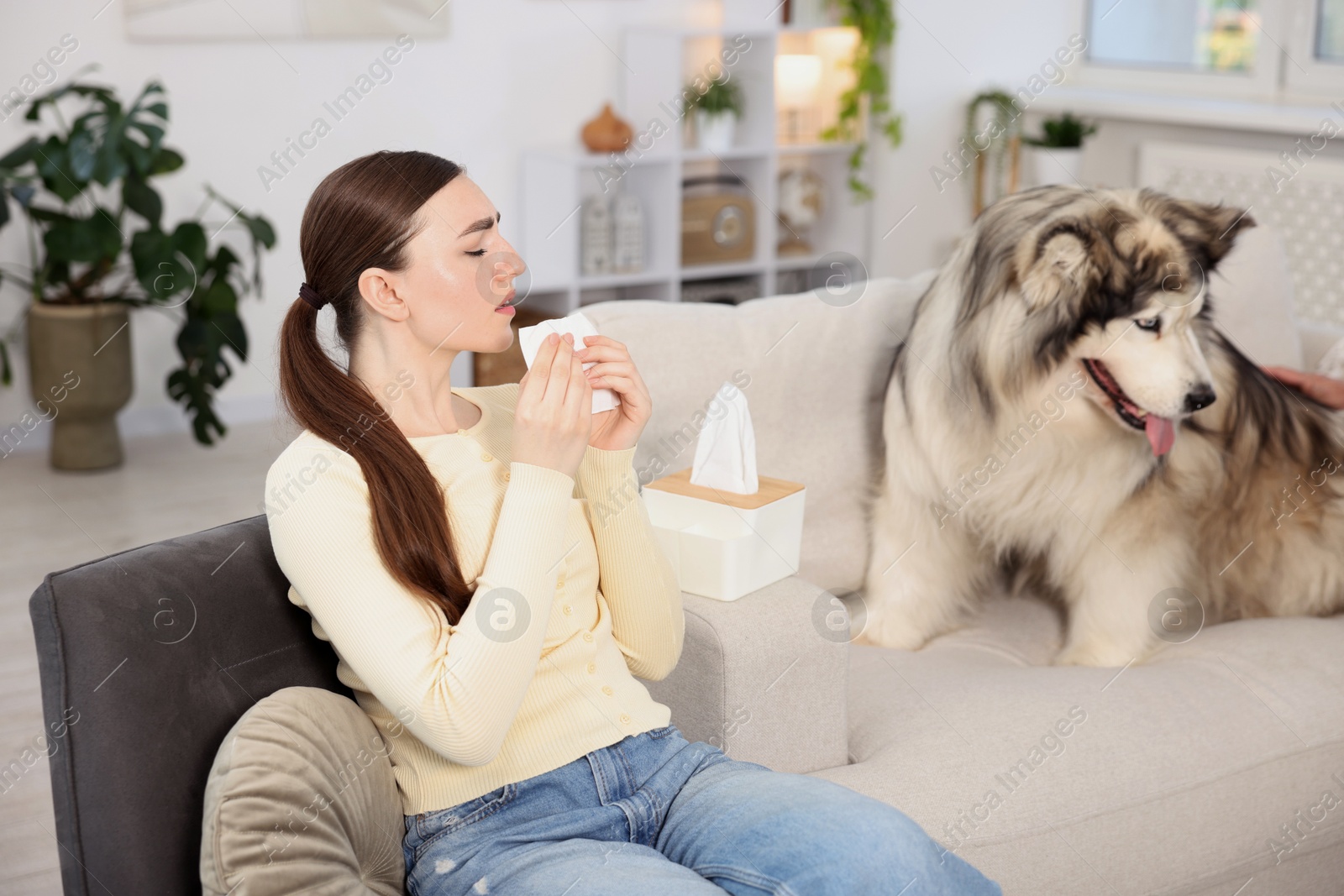 Woman suffering from allergy with her dog at home Photo of Woman suffering from allergy with her dog at home