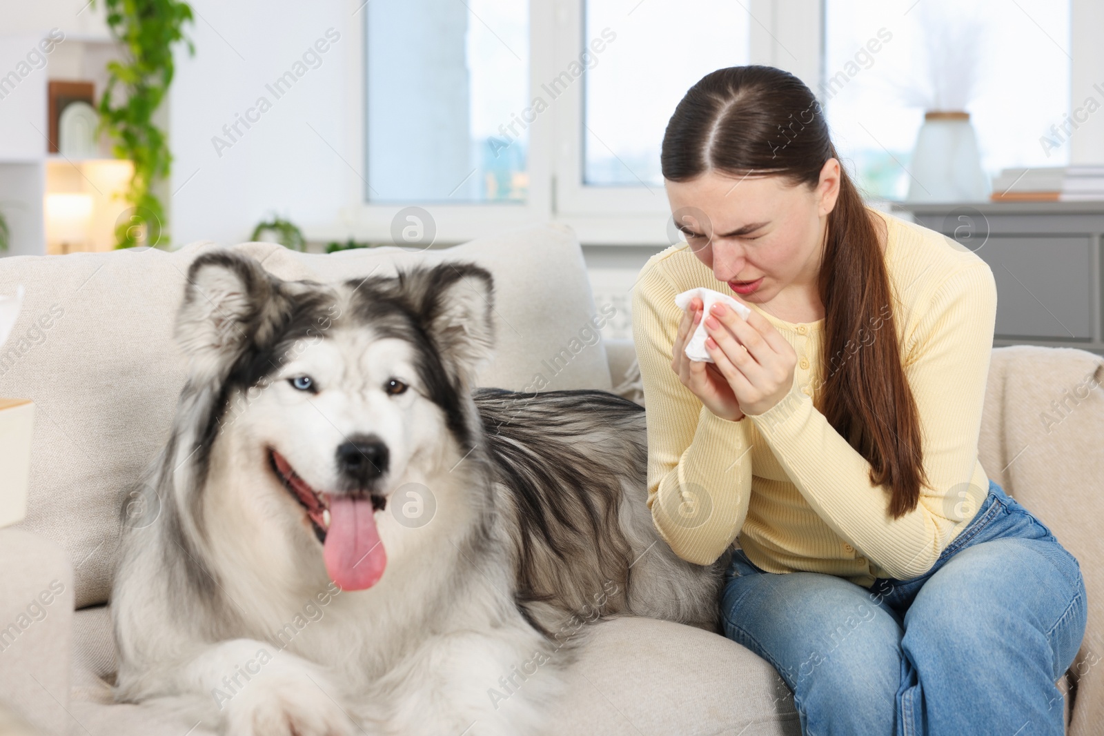 Woman suffering from allergy with her dog at home Photo of Woman suffering from allergy with her dog at home