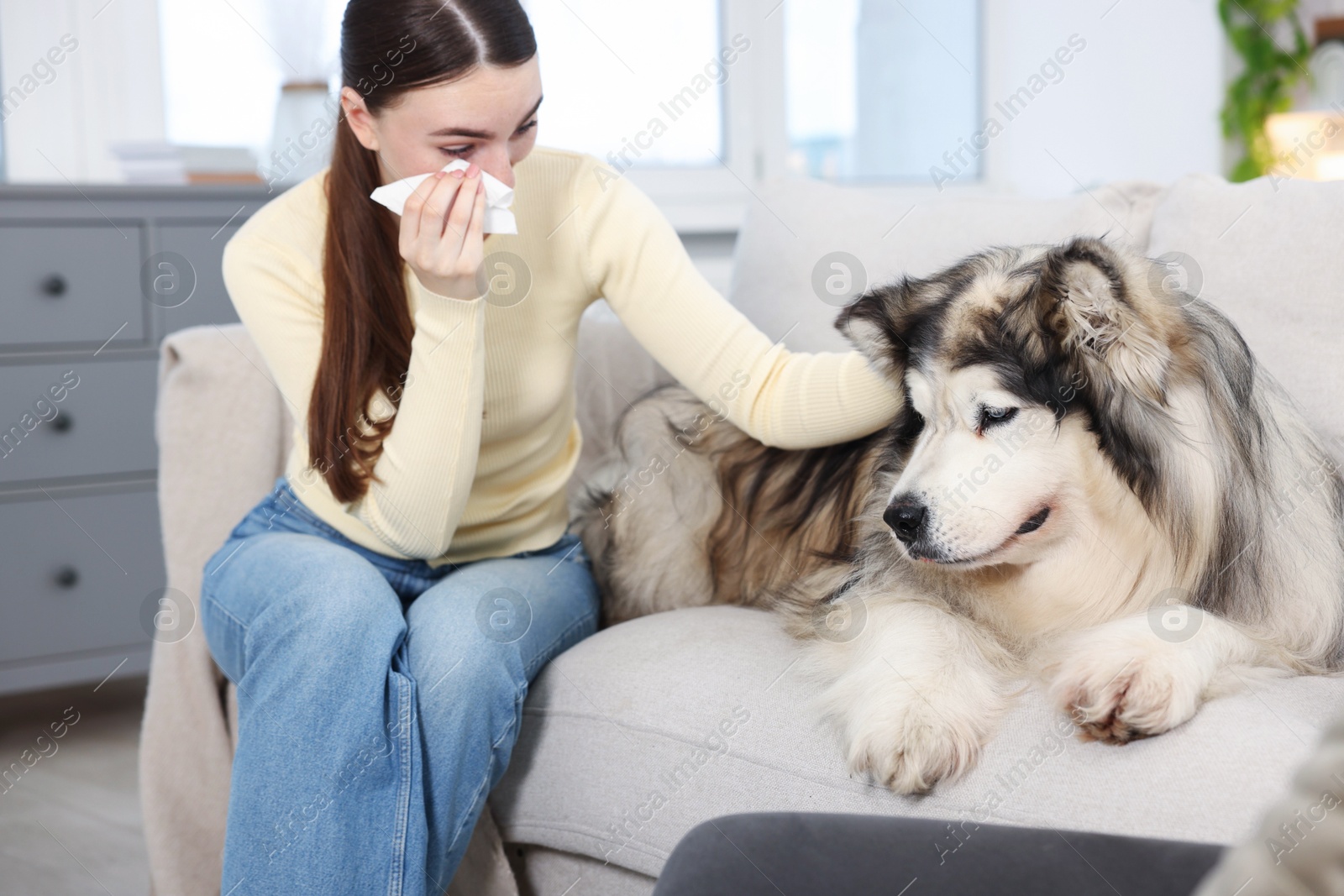 Woman suffering from allergy with her dog at home Photo of Woman suffering from allergy with her dog at home