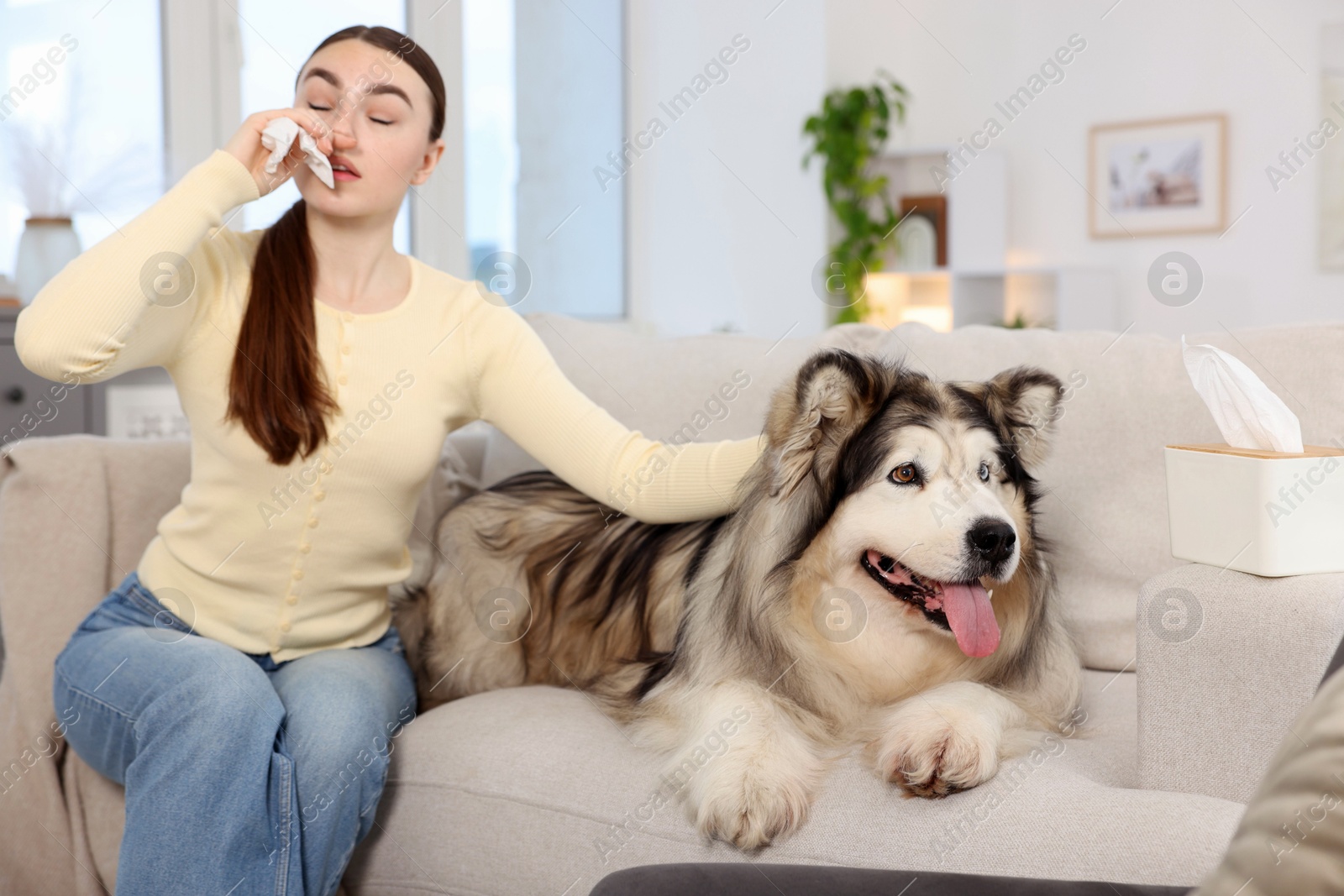 Woman suffering from allergy with her dog at home Photo of Woman suffering from allergy with her dog at home