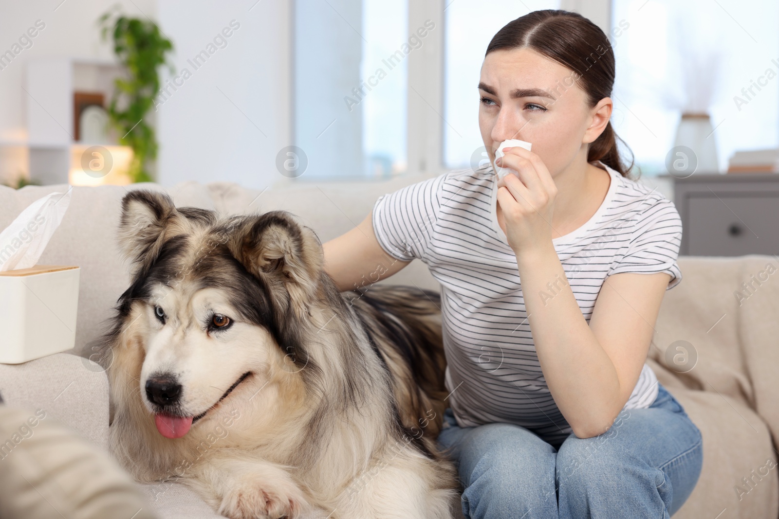 Woman suffering from allergy with her dog at home Photo of Woman suffering from allergy with her dog at home