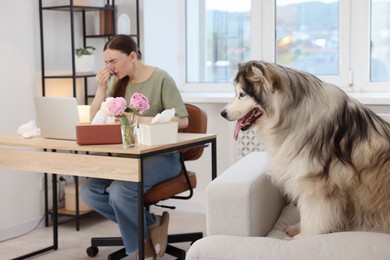 Photo of Woman suffering from allergy while working and her dog at home, selective focus